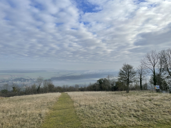 Nous allons suivre le Sentier des Azurés pour descendre vers la Seine. Le Sentier des Azurés a été réalisé par le Conservatoire d'Espaces Naturels de Haute-Normandie, propriétaire du coteau. Le coteau est classé espace naturel sensible.