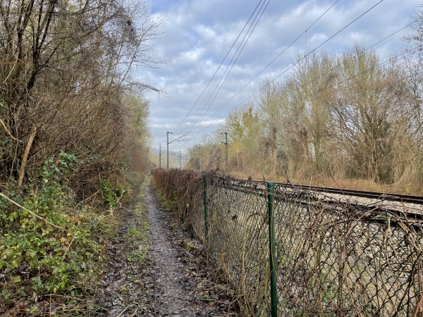 Nous sommes arrivés dans la vallée et suivons la ligne Paris-Le Havre. La première fois que nous avons suivi cet itinéraire, il passait par le tunnel de l'ancienne ligne des Andelys. Nous marchions dans le noir complet, les yeux fixés sur le cercle lumineux de la sortie. Le tunnel est désormais propriété privée.