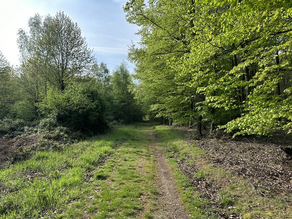 J'ai tourné vers le sud, et marche sur ce chemin herbeux en direction du GR2.