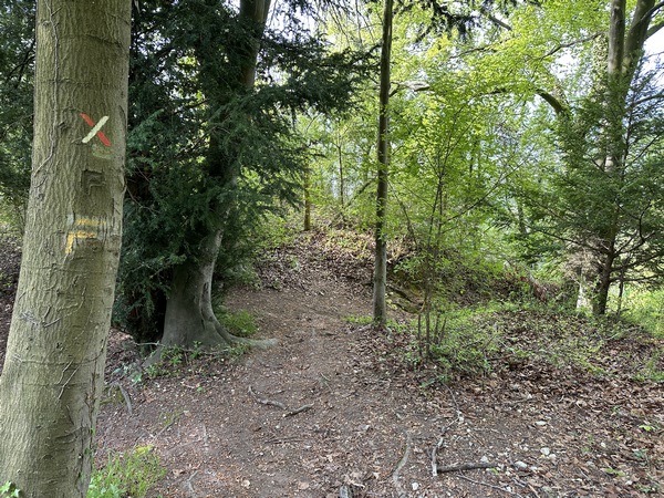 Je quitte le GR2 pour descendre sur le chemin accidenté qui conduit aux grottes d'Orival. Avec de jeunes enfants, il faut rester sur le GR2.