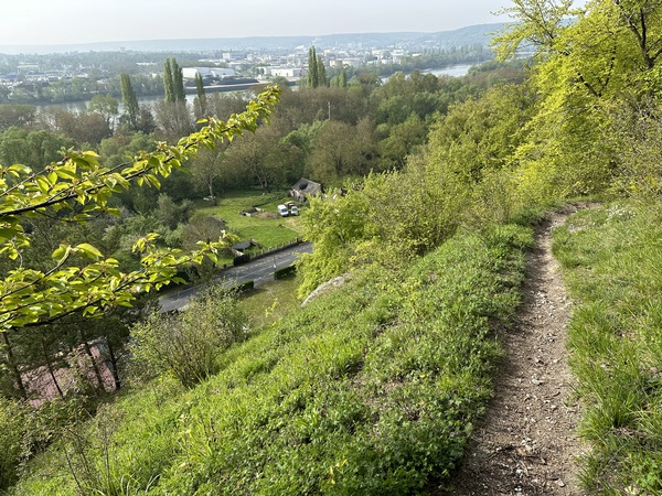 Ce chemin joue les montagnes russes à flan de coteau, avec ici un passage proche de la falaise.