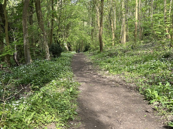 Je quitte le village troglodytique sur ce chemin bordé d'ail aux ours. Les feuilles en sont délicieuses en cette saison.