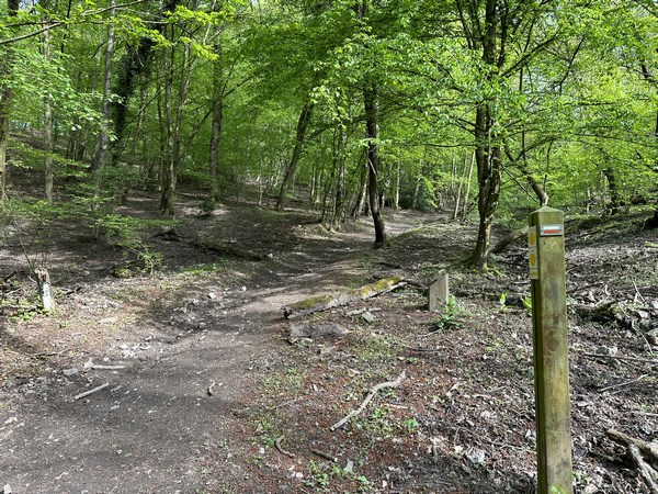 Je retrouve le GR2, et je monte maintenant vers l'oppidum d'Orival.