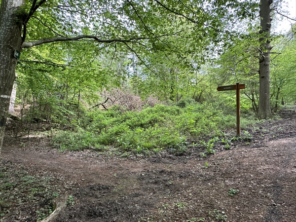 Je quitte rapidement le GR2, pour suivre l'indication du fanum.