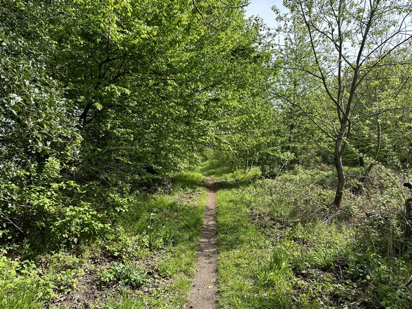 Mon chemin devient un sentier qui longe les anciens terrains du Clos Sanson (dont la maison de maître tombe doucement en ruine.) Le chemin va me conduire directement au parking.