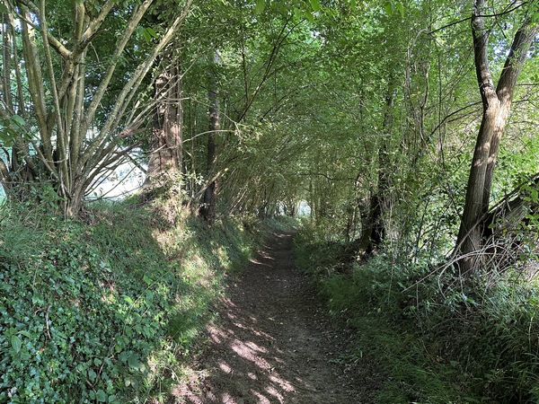 Nous voici sur notre premier chemin, ombragé comme tous les chemins de ce circuit.