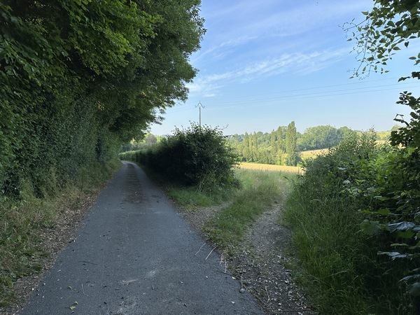 Nous suivons maintenant la petite route Chemin Lieu de France sur le coteau sud de l'Yvie. La petite route se termine en vrai chemin.&nbsp;