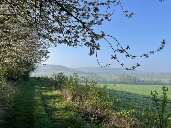 Le chemin du Mont Sauveur s'ouvre sur les paysages des collines et des vallées du Pays-de-Bray.