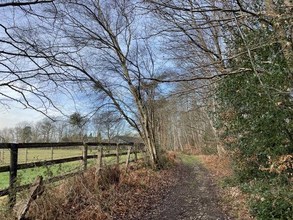 Nous quittons le GR224 pour rejoindre le sommet de la colline.