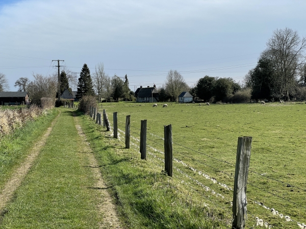 Nous suivons les chemins qui se succèdent jusqu'à la petite route de la Courellerie.