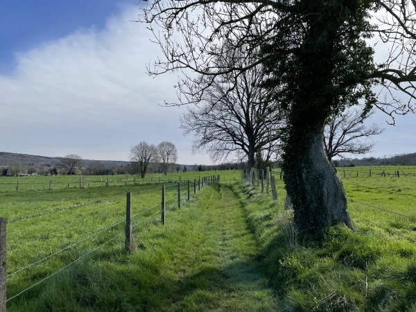 Le GR224 domine la vallée de la Risle, bien visible depuis ces chemins de prairies.
