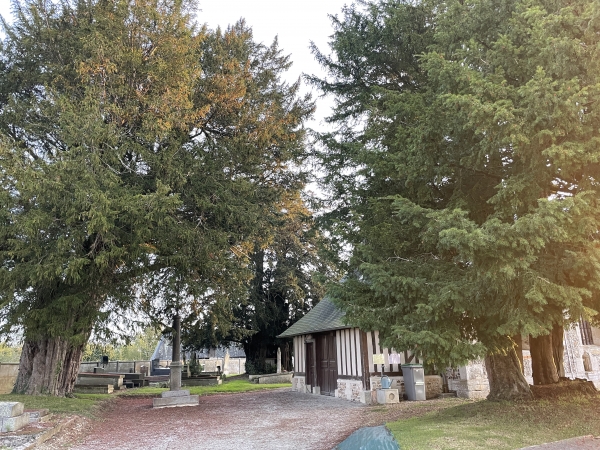 Nous sommes garés sur parking rue de la Mairie, près de la D47. Nous traversons la D47 et longeons l'église Saint-Pierre (nef XIIe). Les ifs multicentenaires du cimetière sont classés.
