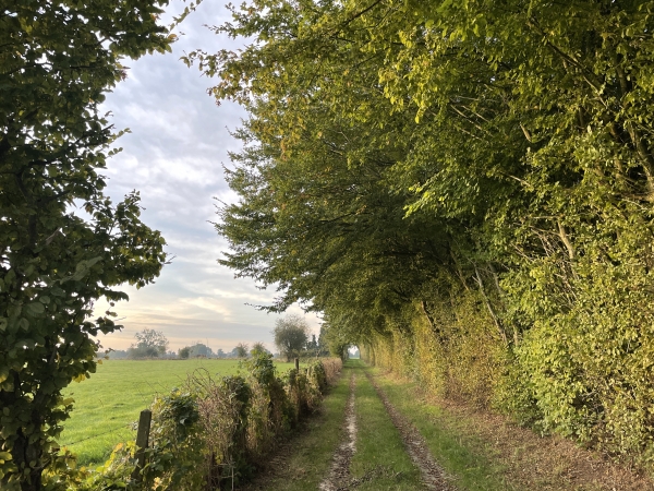 Nous contournons le lieu-dit Lourie et allons tourner à gauche à mi-chemin de cette allée.