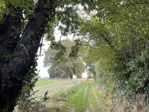 Sur des chemins toujours très agréables, nous passons les lieux-dits Richerie et Mahieux.