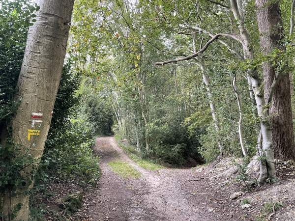 Nous ne descendons pas vers la Risle, restons sur le chemin de lisière et quittons donc le GR224RG.