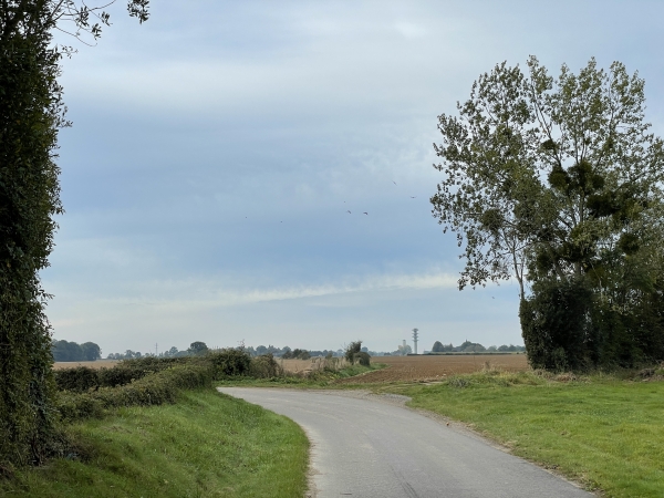 Après avoir contourné le Lieu Marquant, nous suivons la petite route et la quittons ici à droite, pour rejoindre le chemin qui traverse la plaine agricole.