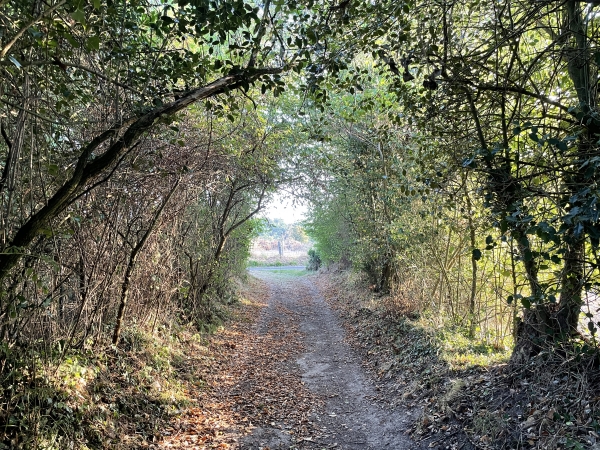 Nous allons déboucher rue de Manneville, avant de reprendre les chemins.
