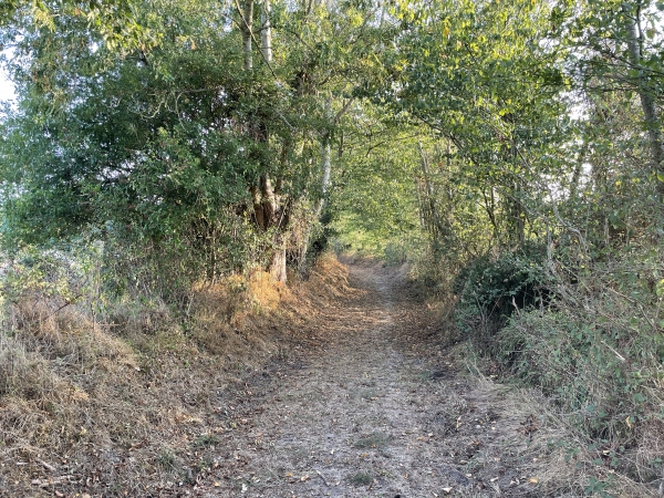 Nous marchons vers le nord en direction des Coudres.