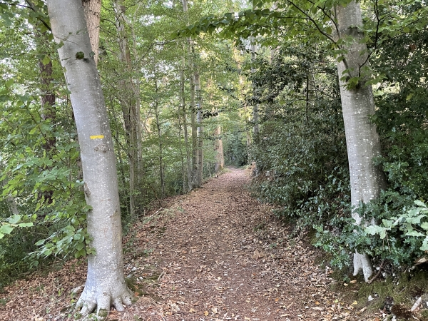 Nous suivons les bois sur la Côte de Hudar.