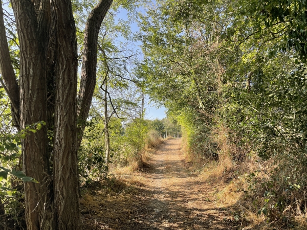 Nous arrivons au sommet du coteau nord de la Risle.