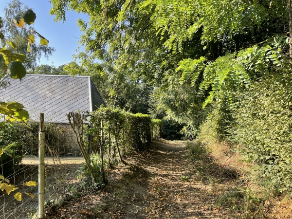 Nous allons descendre le coteau boisé de la Risle.