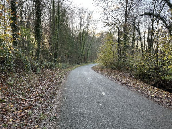 Nous descendons la rue Henry de la Vaulx (aéronaute et écrivain, natif de Bierville). C'est une départementale, la D90, que nous suivons sur 1 kilomètre.