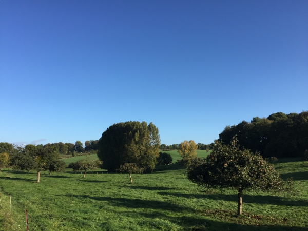 Après la D9, nous suivons la D1. Ca fait près de 4 km de départementale, mais les paysages du Pays-de-Bray nous consolent.