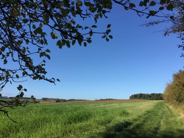 Nous quittons les départementales pour suivre le chemin de la Plaine de Randillon.