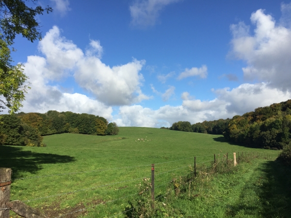Le Grand Chemin d'Hucleu s'ouvre ici sur les pâtures de la Cornillière.