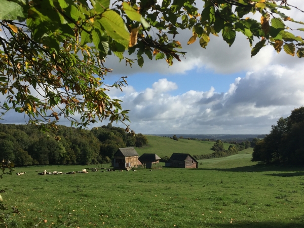 L'ancienne ferme de la Cornillière, vue du Grand Chemin d'Hucleu.