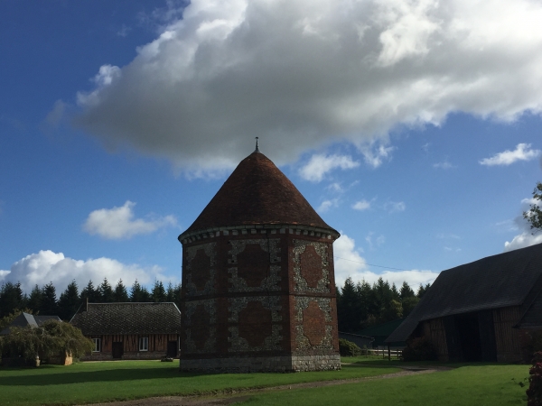 Ferme du Bois le Borgne, ancienne seigneurie avec son colombier du XVIe siècle, sa chapelle, ses bâtiments du XVIe et XVIIIe siècle.