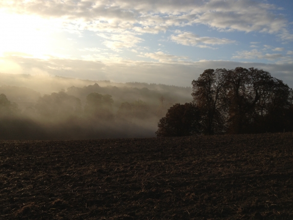 Nous sommes sur le chemin du Fol Accard, le brouillard se dissipe au-dessus de la forêt de Lyons.