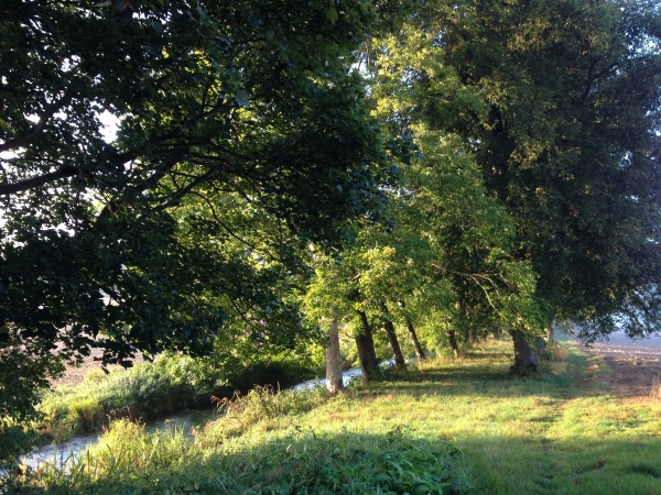 Nous retrouvons la Lieure, canalisée ici en direction du château.