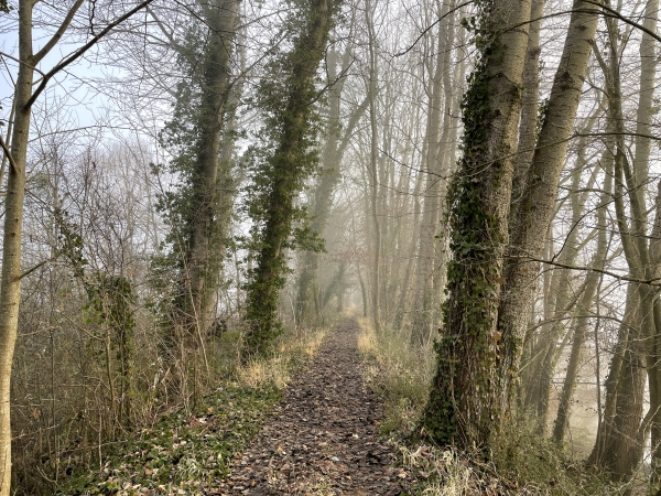Comme son nom l'indique, ce chemin a été aménagé sur la digue de la rive gauche de la Seine.