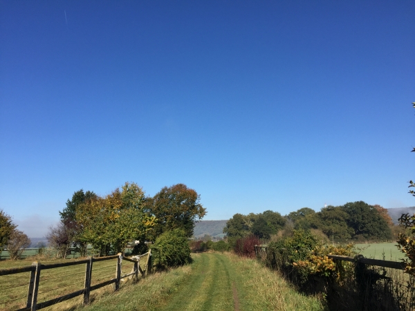 Nous suivons le chemin des marais non loin de la Seine.