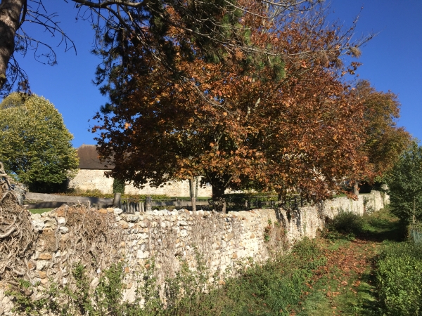 Au Manet, nous remontons vers le bourg de Courcelles-sur-Seine.