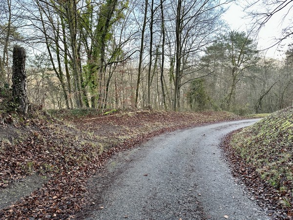Après le monument, le chemin devient une petite route qui descend vers la Croix-Saint-Leufroy.