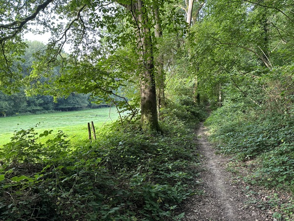 Nous quittons le GR212 pour suivre le délicieux chemin du Fond de Bourdainville.