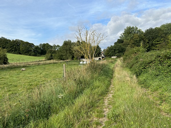 Nous arrivons au sommet, près des premières maisons de Bourdainville.