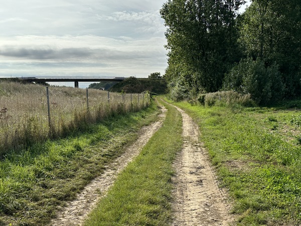 Nous allons bientôt franchir à nouveau l'A29, sur le pont de la route d'Emanville.