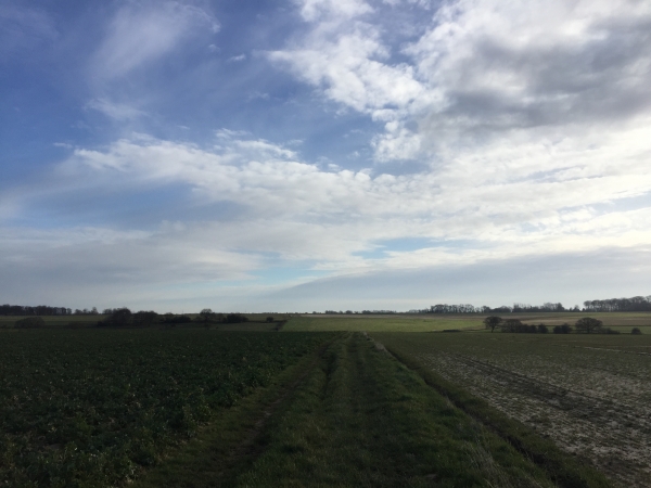 Canville-les-Deux-Eglises, plaine de la Mare aux Loups.