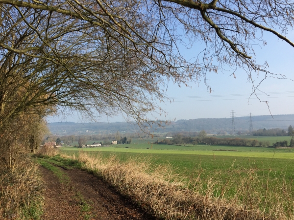 Nous sortons du bois des Parquets en vue de Condé-sur-Risle.