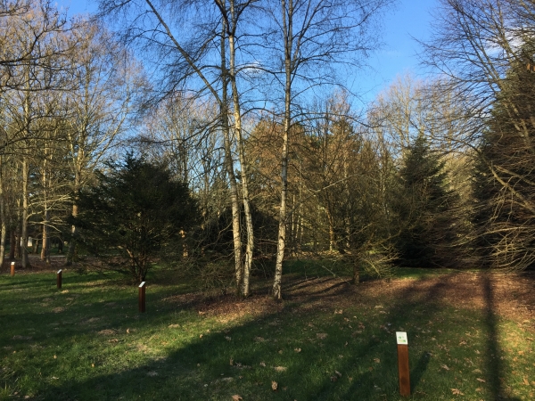 Route forestière des Bordins, l'Arboretum. L'Arboretum de Lyons est une invitation à la découverte d'une centaine d'espèces d'arbres du monde : soixante essences classées par continent et quarante cultivées en peuplements à la périphérie. Deux parcours permanents d'orientation, un pour adultes et un pour enfants, proposent d'apprendre à reconnaître de façon ludique les espèces présentes.