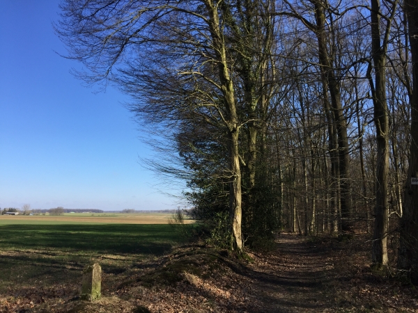 Chemin en lisière de forêt près de La Bouvetière.