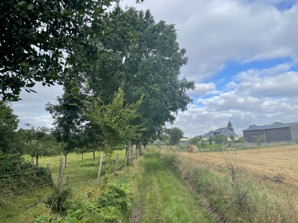 Nous voilà à la Cambuse, nous prenons la direction de la Poulterie.