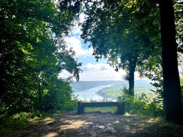 Et voilà l'un des plus beau panorama sur cette boucle de la Seine. Pour les photos, évitez le matin et le soleil de face...