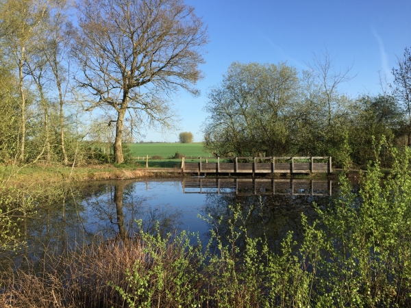 Saint-Nicolas-du-Bosc, la mare Chanchoux.