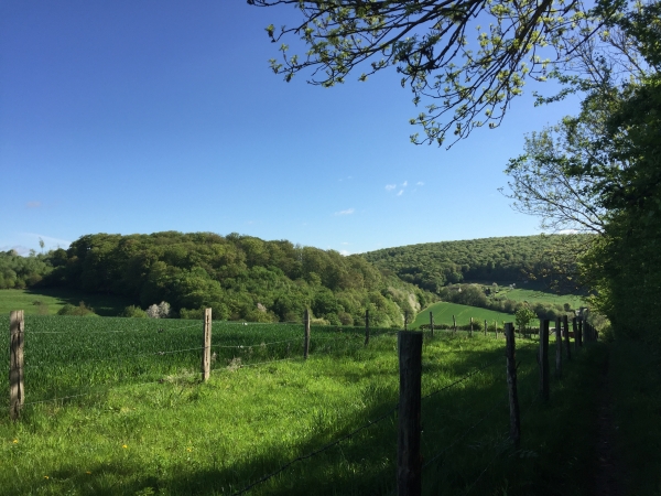 Nous contournons le domaine du château en passant sur la colline au Fol'Accard.
