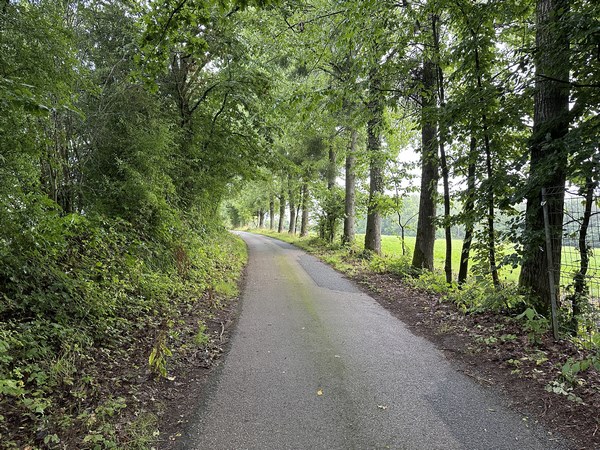 La route du Mont Landrin est une petite route tranquille qui relie Clères à Frichemesnil.