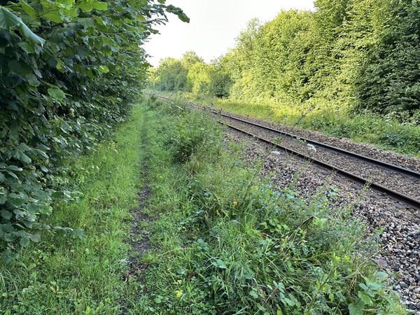 Le GR210, depuis Etaimpuis, n'est jamais très loin de la ligne Rouen-Dieppe.